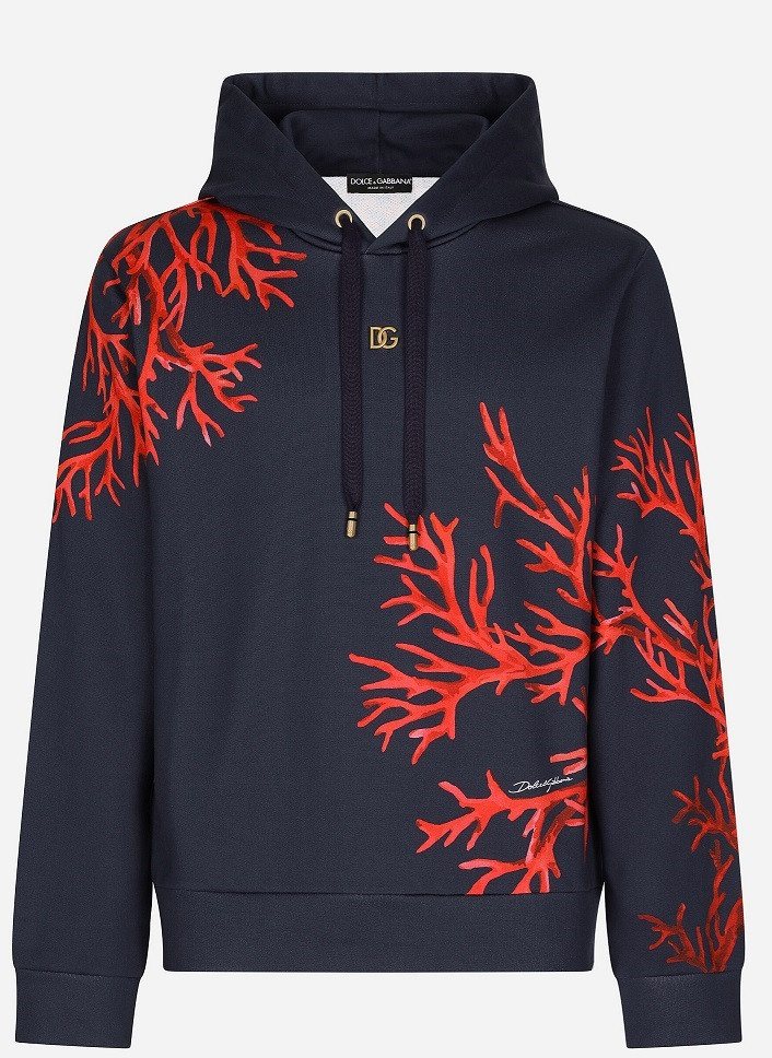 Dolce & Gabbana Floral Print Hoodie — Navy — 3