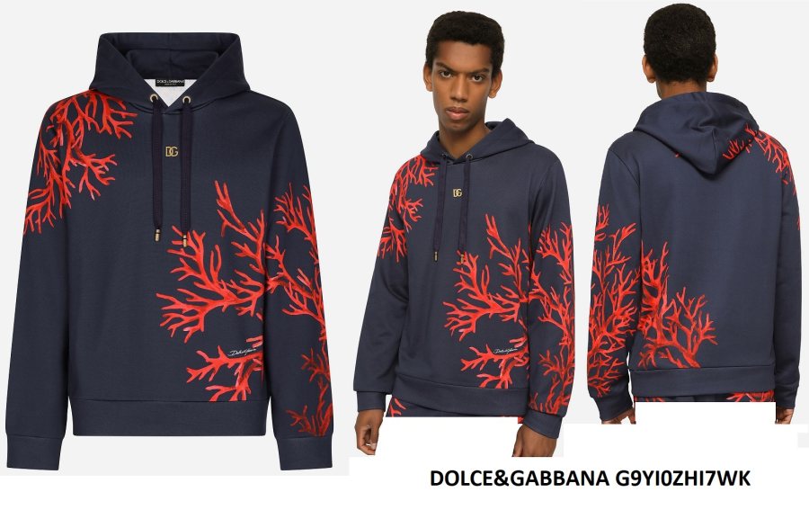 Dolce & Gabbana Floral Print Hoodie — Navy — 2